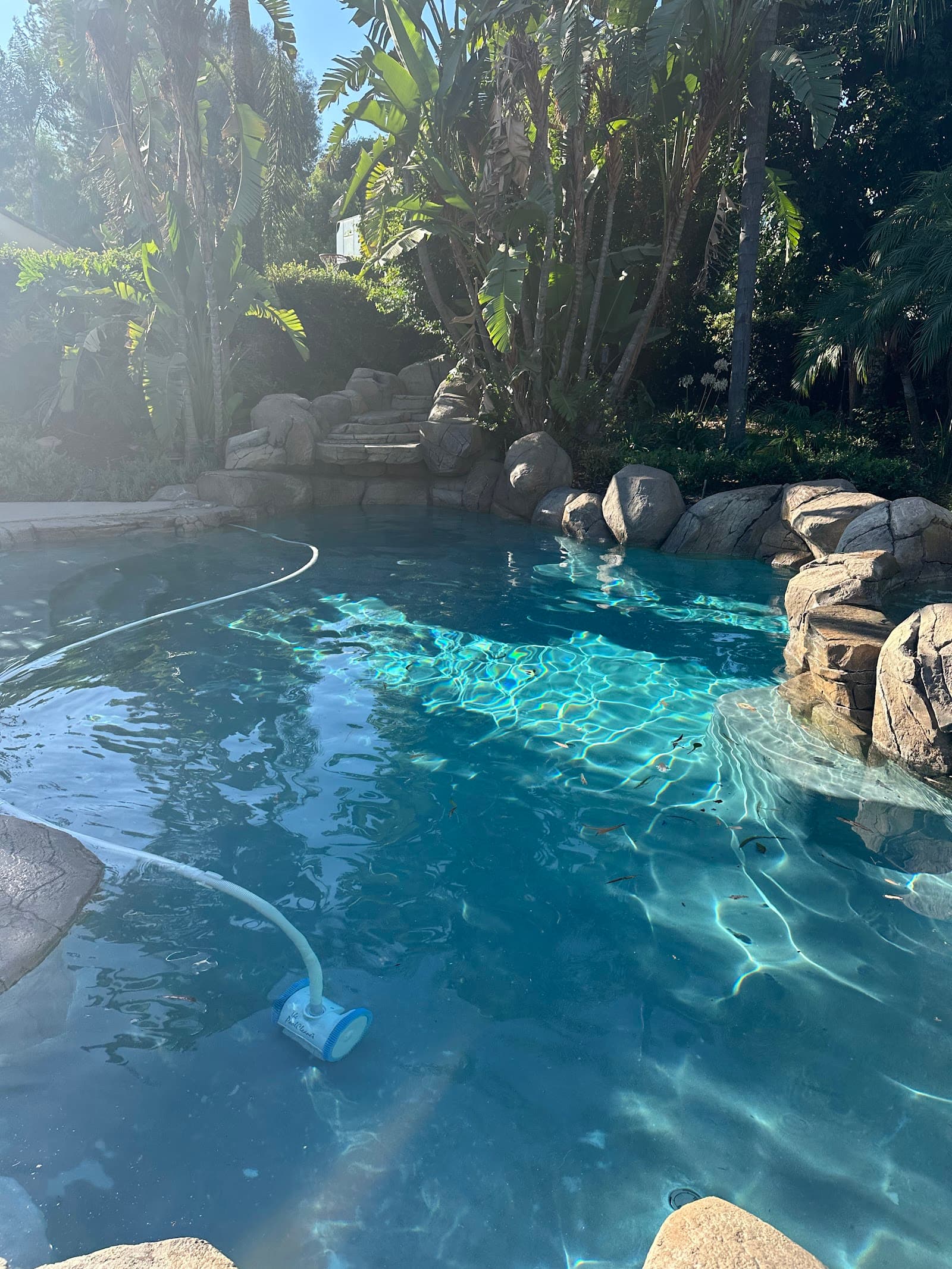 Weekly Pool Cleaning photo 1